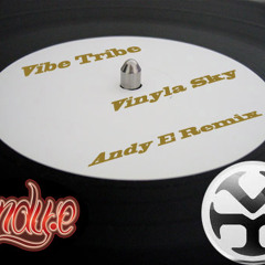 Vibe Tribe - Vinyla Sky (Andy E Remix)