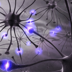 NEURAL WEAPON - The Age of Voltage