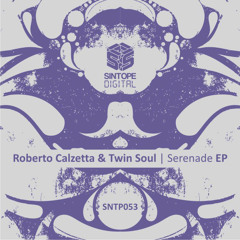 Roberto Calzetta & Twin Soul - No Dice [Sintope Digital]