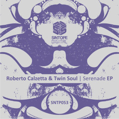 Roberto Calzetta & Twin Soul - Creature of the Night [Sintope Digital]