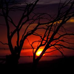 I Aint Doin It - Pete Belasco