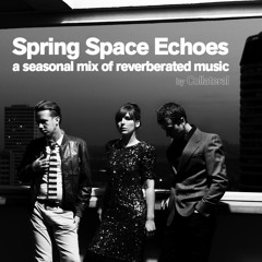 SPRING SPACE ECHOES - A Seasonal Mix Of Reverberated Music