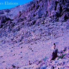 12 Tes Elations - Patience