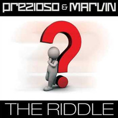 The Riddle (Alternative Mix)