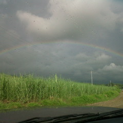 You and I (Dash Berlin Remix) (www.t