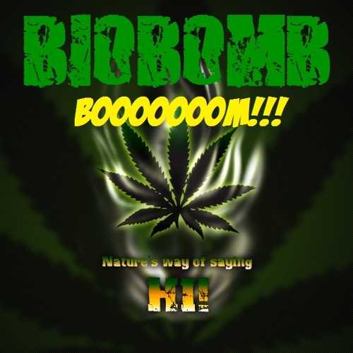 BioBomb  (Teknical Vodka HS 02 - FREESTYLISTEN)