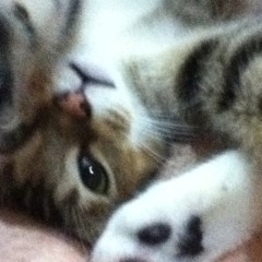 Knights of cydonia intro haha