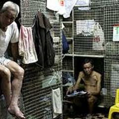 Paper Dominoes Working Mix