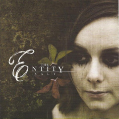 The Entity - Salt