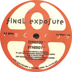 Final Exposure: Synergy 1 (1991) PLUS8010