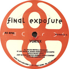 Final Exposure: Vortex (1991) PLUS8010