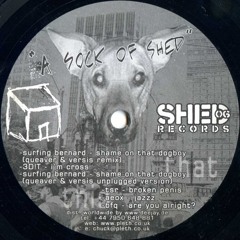 Surfing Bernard - Shame On That Dogboy (Queaver & Versis Remix) - Released 2006 - SHED06