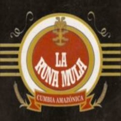 LA RUNA MULA-VACILANDO CON AYAHUASCA