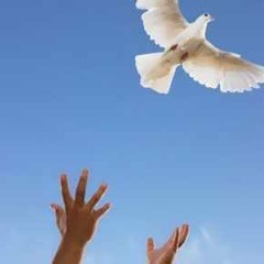 Xerxes & Phoenix - Let It Go
