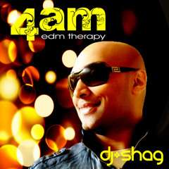 djShag - 4am EDM Therapy