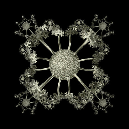 Dimentia   --- live@ Void Tactical Media/Darkmatter  5/5/12--(SF)