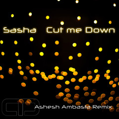 Sasha - Cut Me Down [Ashesh Ambasta Remix]