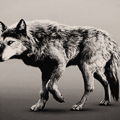 Groovy Consequenses (Original Mix)