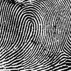 20 ONE SHOT SYNTH SAMPLES BY DARKERMUSİC (HİGH QUALİTY)