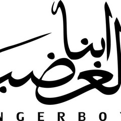 AngerBoyz - Elsofaha2 - الســفهاء