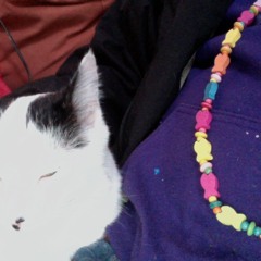 The Freak Klub - Big Deal