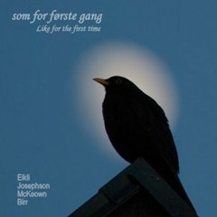 Fuglesang - Like for the first time (collab with Eikli/Josephson/McKeown)