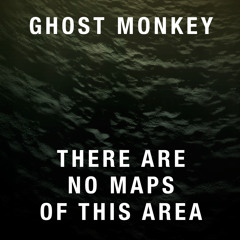 There are no maps of this area