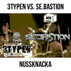 3typen vs. 404 (aka Se.Bastion) - Nussknakka (Original Mix)