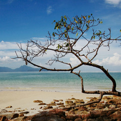 07. Yusuf Hayaloglu - Ne Fayda