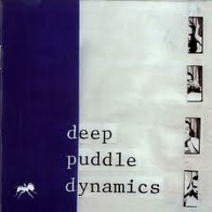DeepPuddleDynamics "Mothers of Invention"