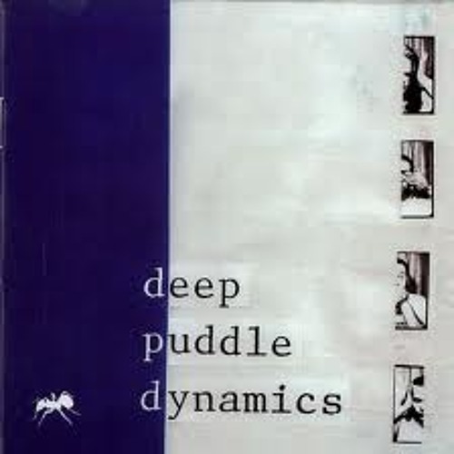 DeepPuddleDynamics "Mothers of Invention"