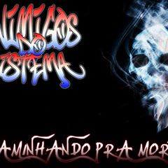 INIMIGOS DO SISTEMA - caminhando pra morte