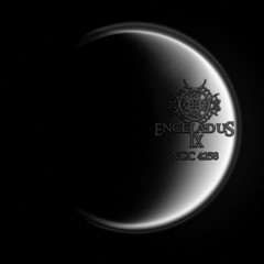 THE AMBIENTS