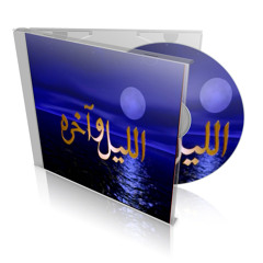 Yasser Abdel Rahman | اللـيـل و أخــره  OST |  Pain Of Love