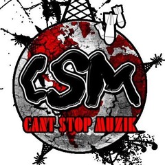 Cant Stop Muzik - Fall Back