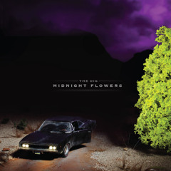 Red Rose in the Cold Winter Ground - Midnight Flowers (2012)