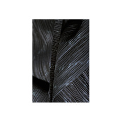 Pianopiano (sample)
