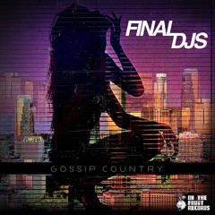 FiNAL DJs - Gossip Country (Justin Faust Remix)