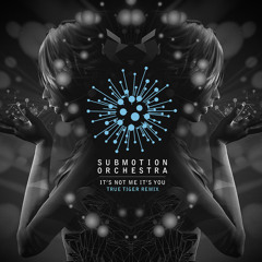 It's not me it's you (True Tiger remix)