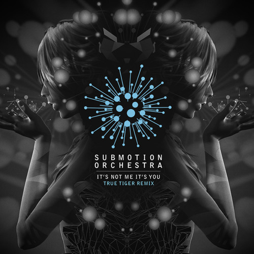 It's not me it's you (True Tiger remix)