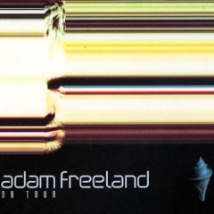 Adam Freeland-On tour. Mixed 2001