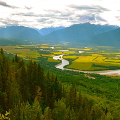 It's Easy - The WIld Chickenberry Parade (2011)