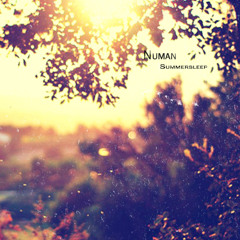 Numan - Summersleep (demo)
