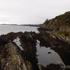 THE LOVE OF THE ROCK TO THE SEA