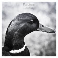 Pandreas - Sirkel(Sag)