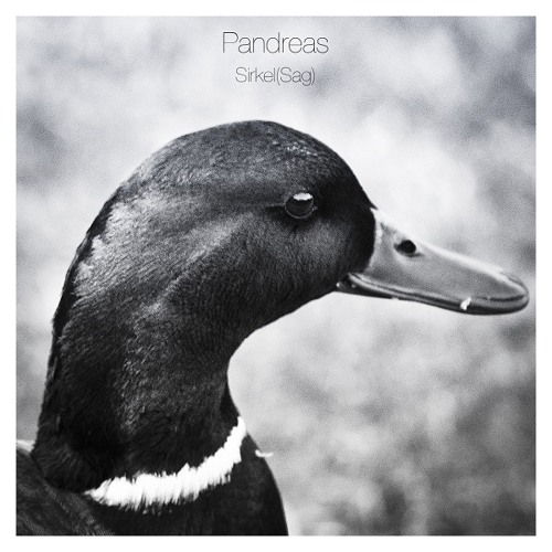 Pandreas - Sirkel(Sag)