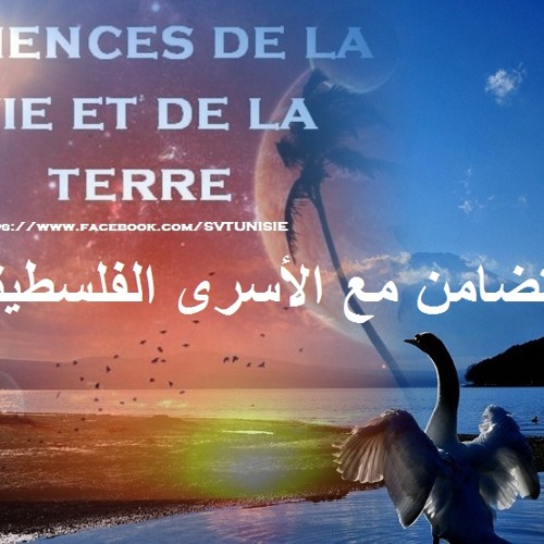 انشوده الاسرى / فرقه الوعد