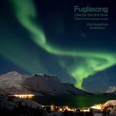 Fuglesang - original instrumental version (Vlad Josephson/AndAWan collab)