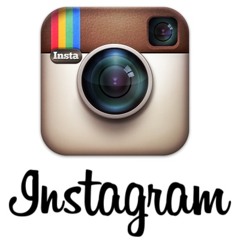 Dynasty - Instagram