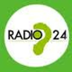 Arneis a Radio24 12 maggio 2012 "Voci d'impresa"